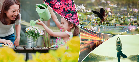 A collage including a mother and daughter gardening together, a duck landing in a pond amongst lilies, and a person doing yoga in a park